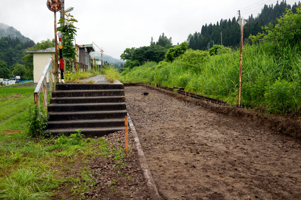 只見線の不通区間にある会津塩沢駅は無人駅です