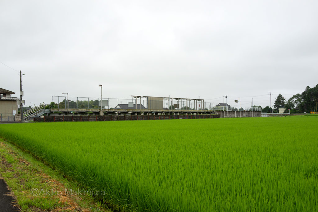 田園風景からのぞむ烏山線の下野花岡駅